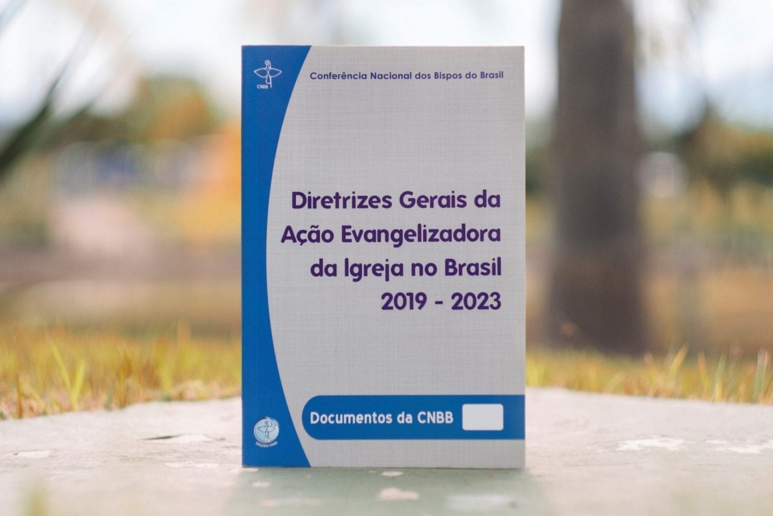 Diretrizes Gerais da Ação Evangelizadora da Igreja no Brasil. Créditos: CNBB