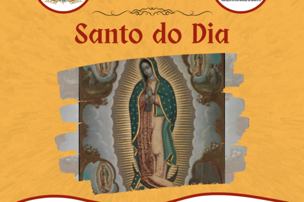 Nossa Senhora de Guadalupe. Créditos: Paróquia de São Manuel